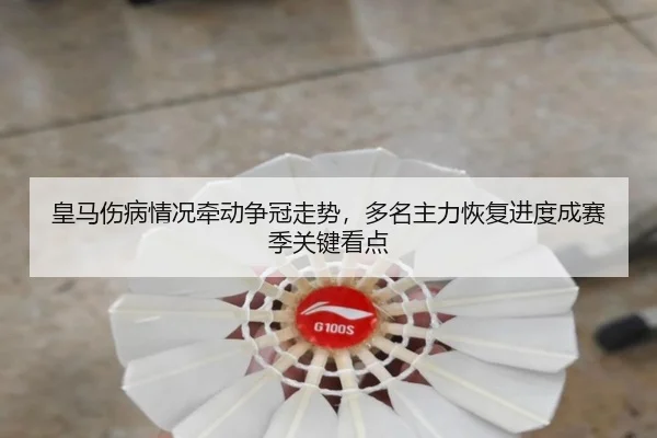 皇马伤病情况牵动争冠走势，多名主力恢复进度成赛季关键看点 - kaiyun